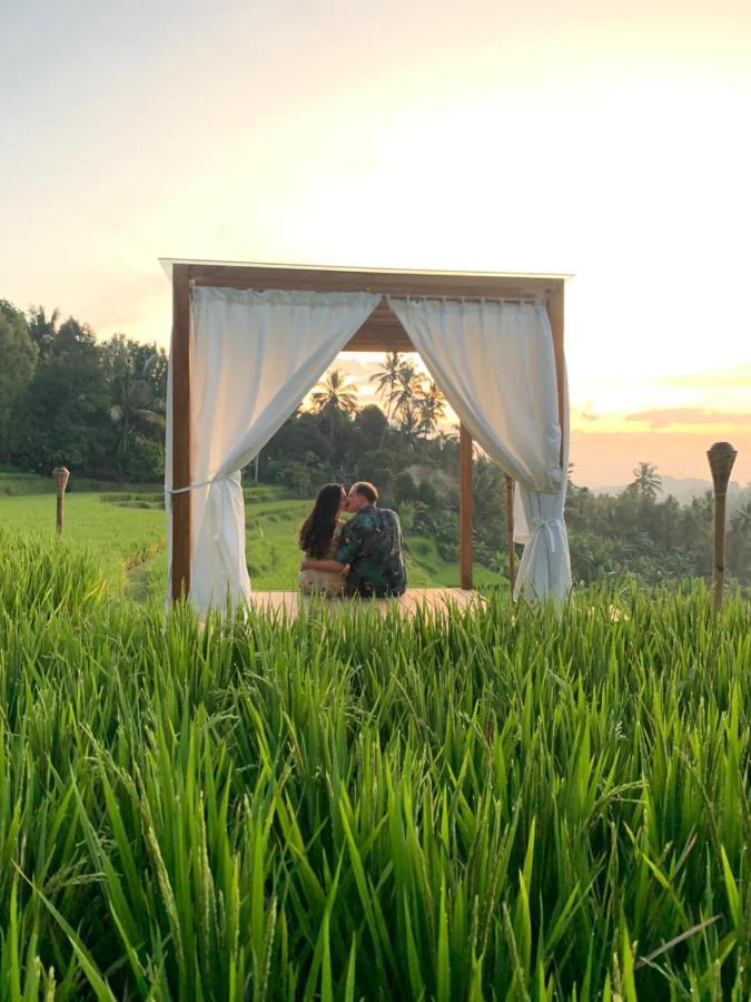 Bali De Pardis Cottage Munduk Dış mekan fotoğraf