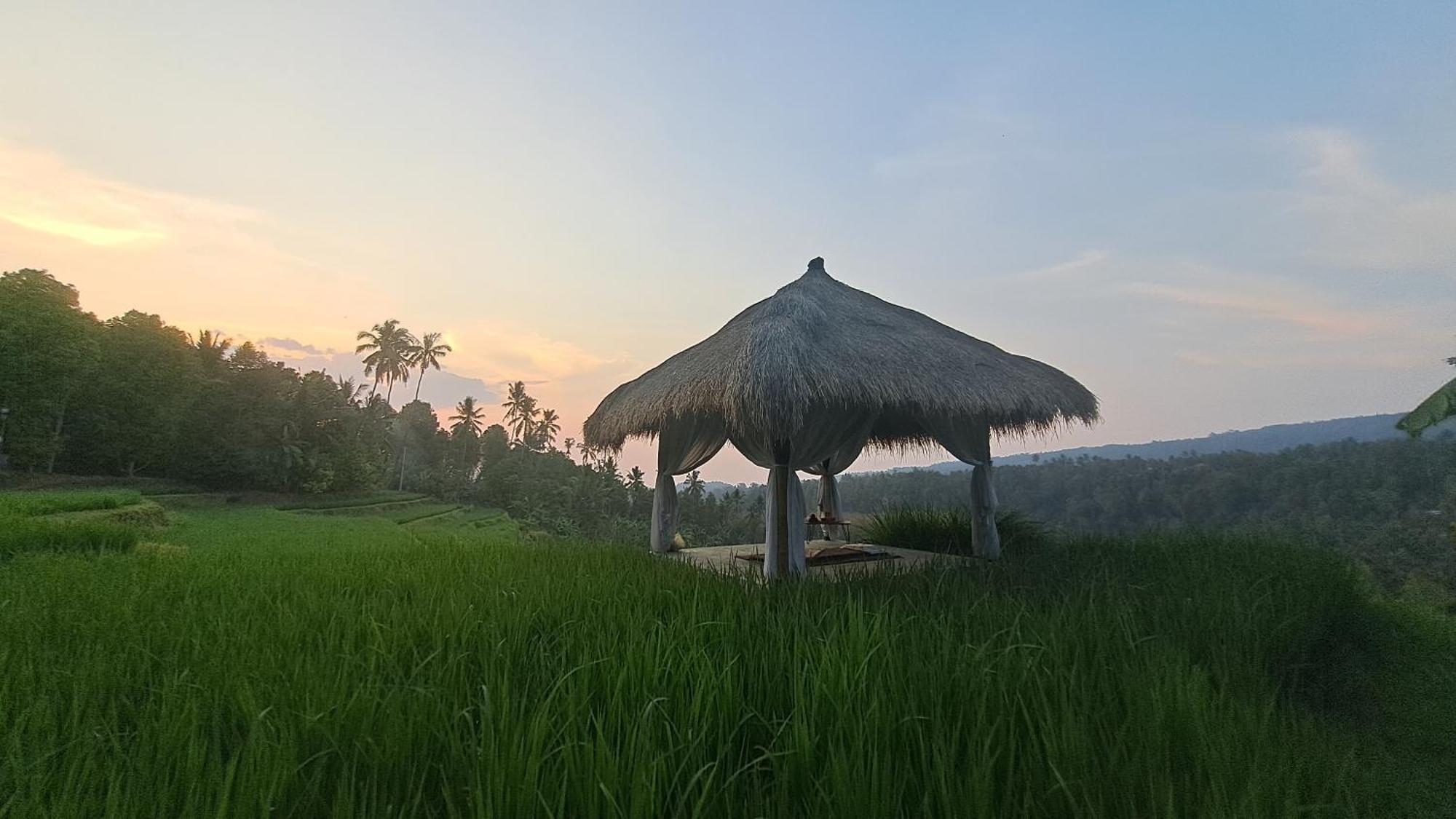 Bali De Pardis Cottage Munduk Dış mekan fotoğraf