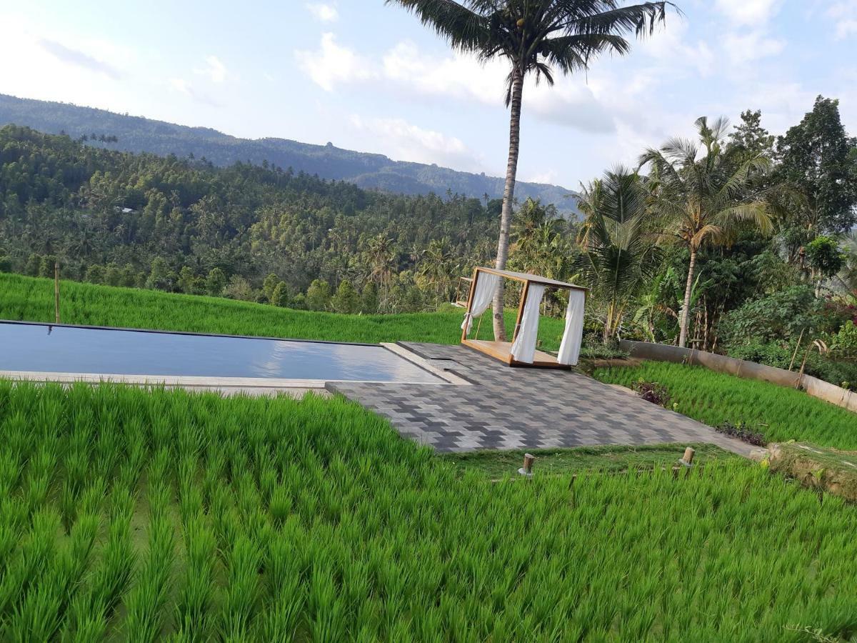 Bali De Pardis Cottage Munduk Dış mekan fotoğraf