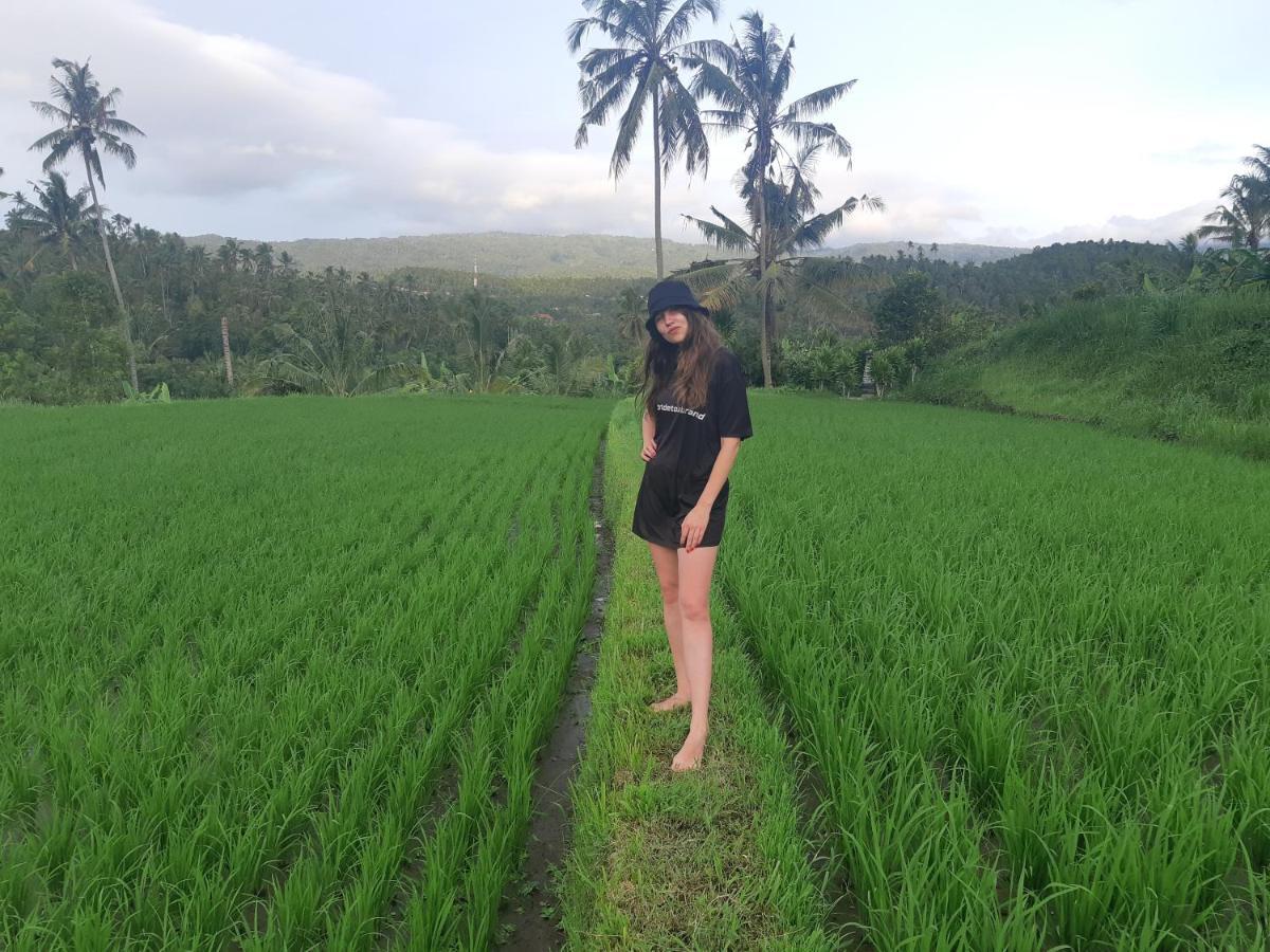 Bali De Pardis Cottage Munduk Dış mekan fotoğraf