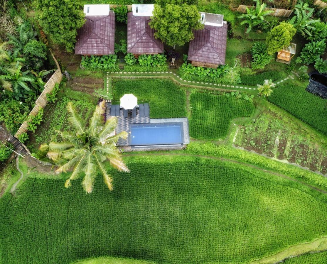 Bali De Pardis Cottage Munduk Dış mekan fotoğraf