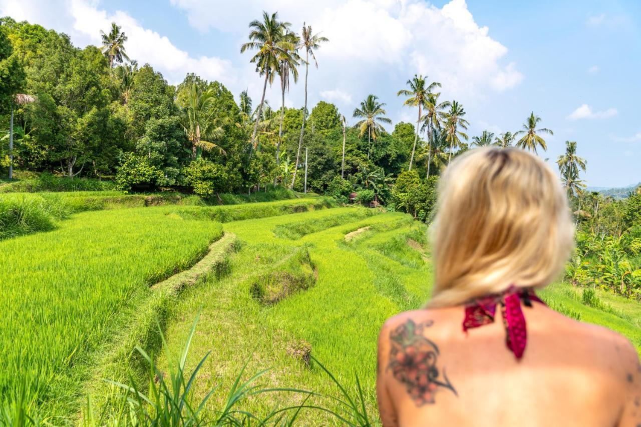 Bali De Pardis Cottage Munduk Dış mekan fotoğraf